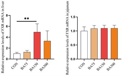 Bile acids supplementation modulates lipid metabolism, intestinal function, and cecal microbiota in geese